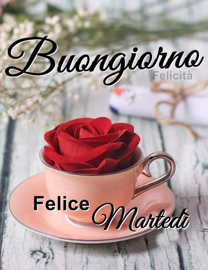 adelallera1's tweet photo. E quando inizi la giornata cancellando tutte le chat....capisci che stai avanti... https://t.co/8eTuGl4Sb9