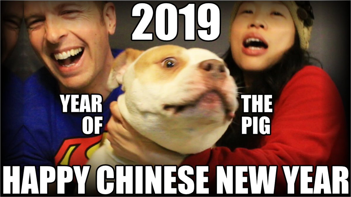 Jenny_And_Alex's tweet photo. Happy Chinese New Year Everyone! Let's eat like a pig! 🍴🐷👍 VIDEO: https://t.co/H3Lk7WHqz3
#ChineseNewYear #CNY #CNY2019 #YearOfThePig #yearofpig #YearoftheDog #yearofdog #GongXiFaCai #恭喜發財 #Dog #rescuedog #dogrescue #detroit #detroitdog #doglovers https://t.co/ZSpGkXUCwW