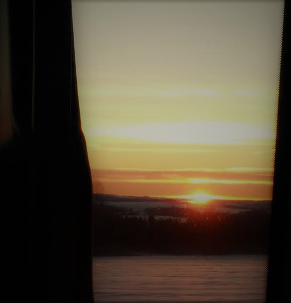 Sevilia Sunetchiieva tweet media