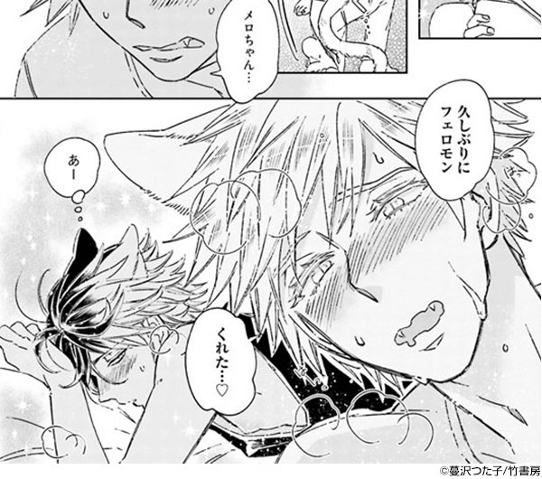 蔓沢つた子 を含むマンガ一覧 ツイコミ 仮