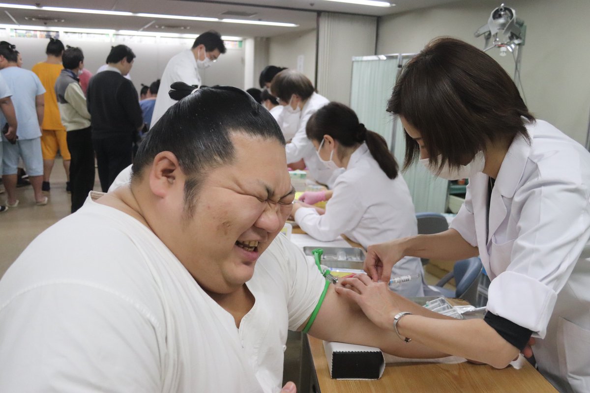 日本相撲協会の健康診断 かわいい Togetter 日本相撲協会の健康診断 かわいい Togetter