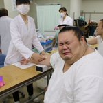 可愛いすぎる力士・千代丸w健康診断で採血するときの表情が最高!
