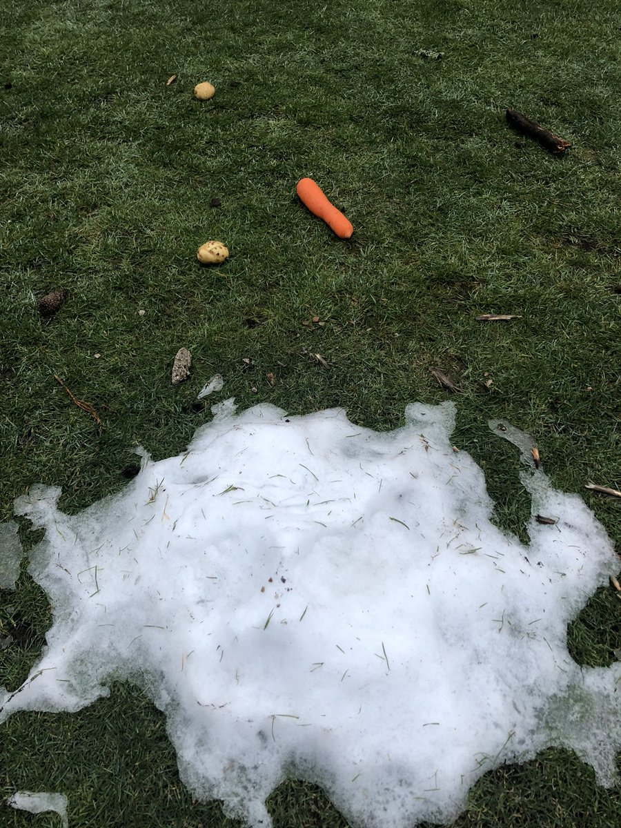 jptconsult's tweet photo. Is there a sadder sight after a snow day?  An easy one for CSI. https://t.co/fCVs6pDEmc