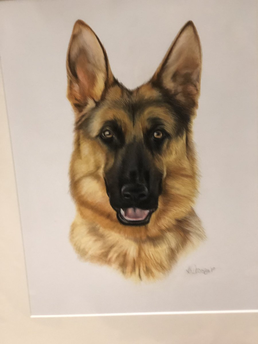MaisieTpd's tweet photo. I had my portrait done, was a present for my old Mum when she was caring for me , such a clever artist Lisa De Souza https://t.co/3Qusl7TJuk