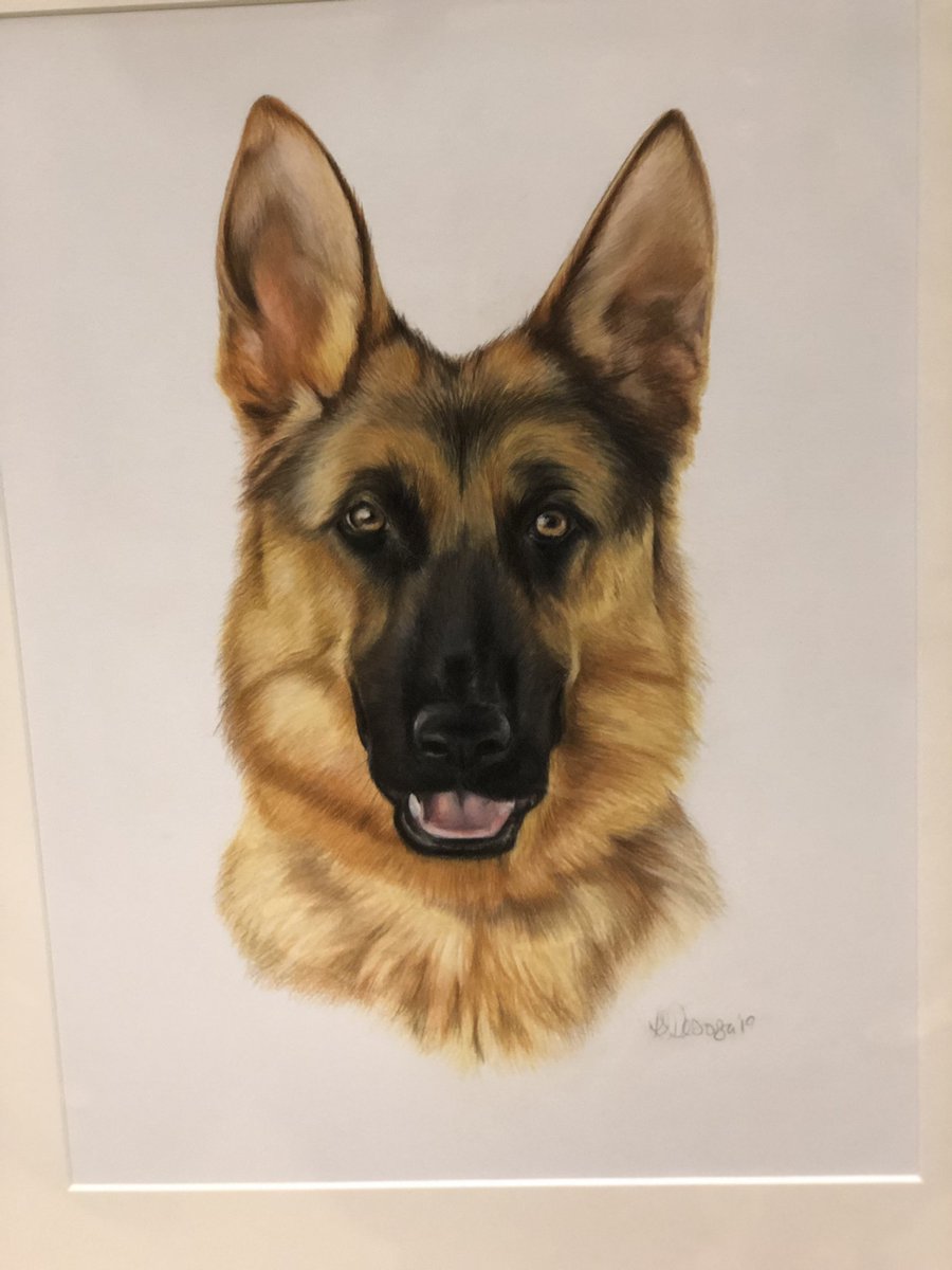 MaisieTpd's tweet photo. I had my portrait done, was a present for my old Mum when she was caring for me , such a clever artist Lisa De Souza https://t.co/3Qusl7TJuk