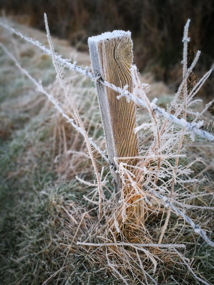 HomeHeartGifts's tweet photo. I absolutely love walking the land on days like today ❄️❤️pure winter beauty 💖🌨️
#winter #winterloves #wintervibes #frozencountryside #winterbeauty #winterfeels #icy #dogwalker #dogsofinstagram #westiesofinstagram #Westie #westhighlandterrier #homeheartgifts #HomeHeart https://t.co/6pK3aC0fNR