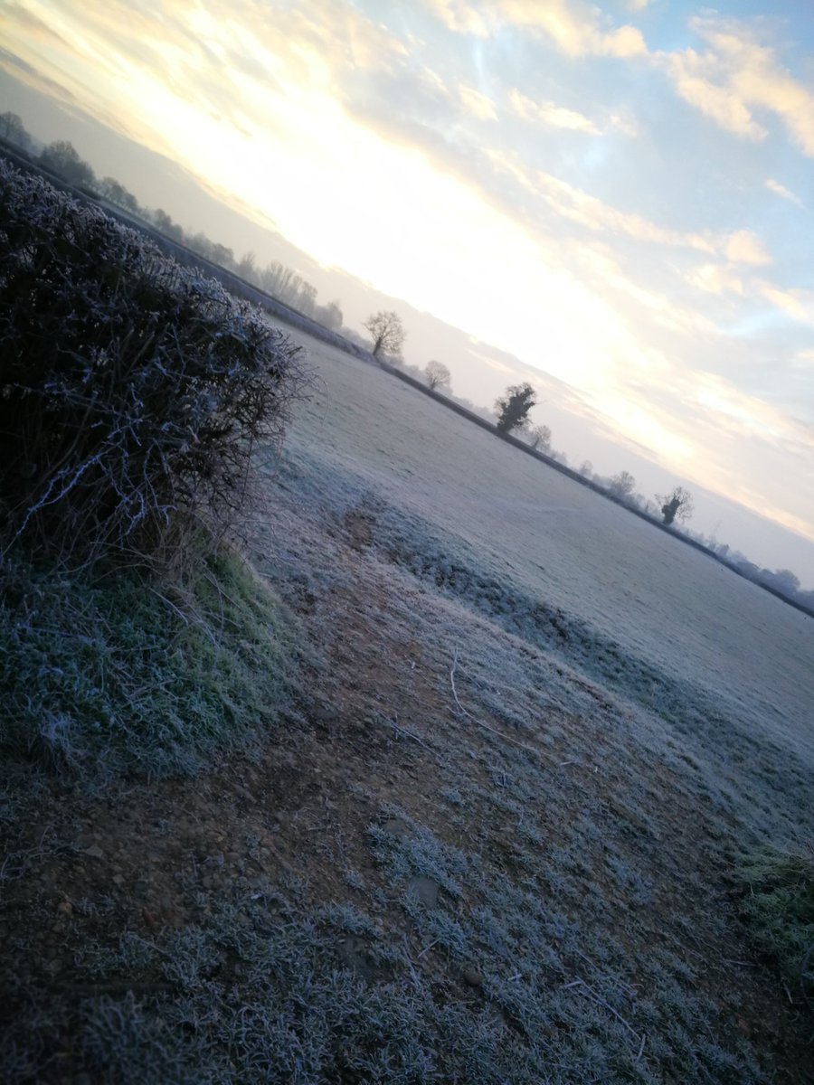 HomeHeartGifts's tweet photo. I absolutely love walking the land on days like today ❄️❤️pure winter beauty 💖🌨️
#winter #winterloves #wintervibes #frozencountryside #winterbeauty #winterfeels #icy #dogwalker #dogsofinstagram #westiesofinstagram #Westie #westhighlandterrier #homeheartgifts #HomeHeart https://t.co/6pK3aC0fNR