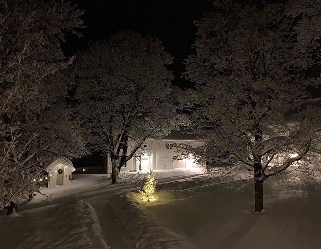 stormstein's tweet image. Bakgårdsbilde en kveld i februar. #backyard #winter2019 #vinteriringsaker bit.ly/2UFqHLd
