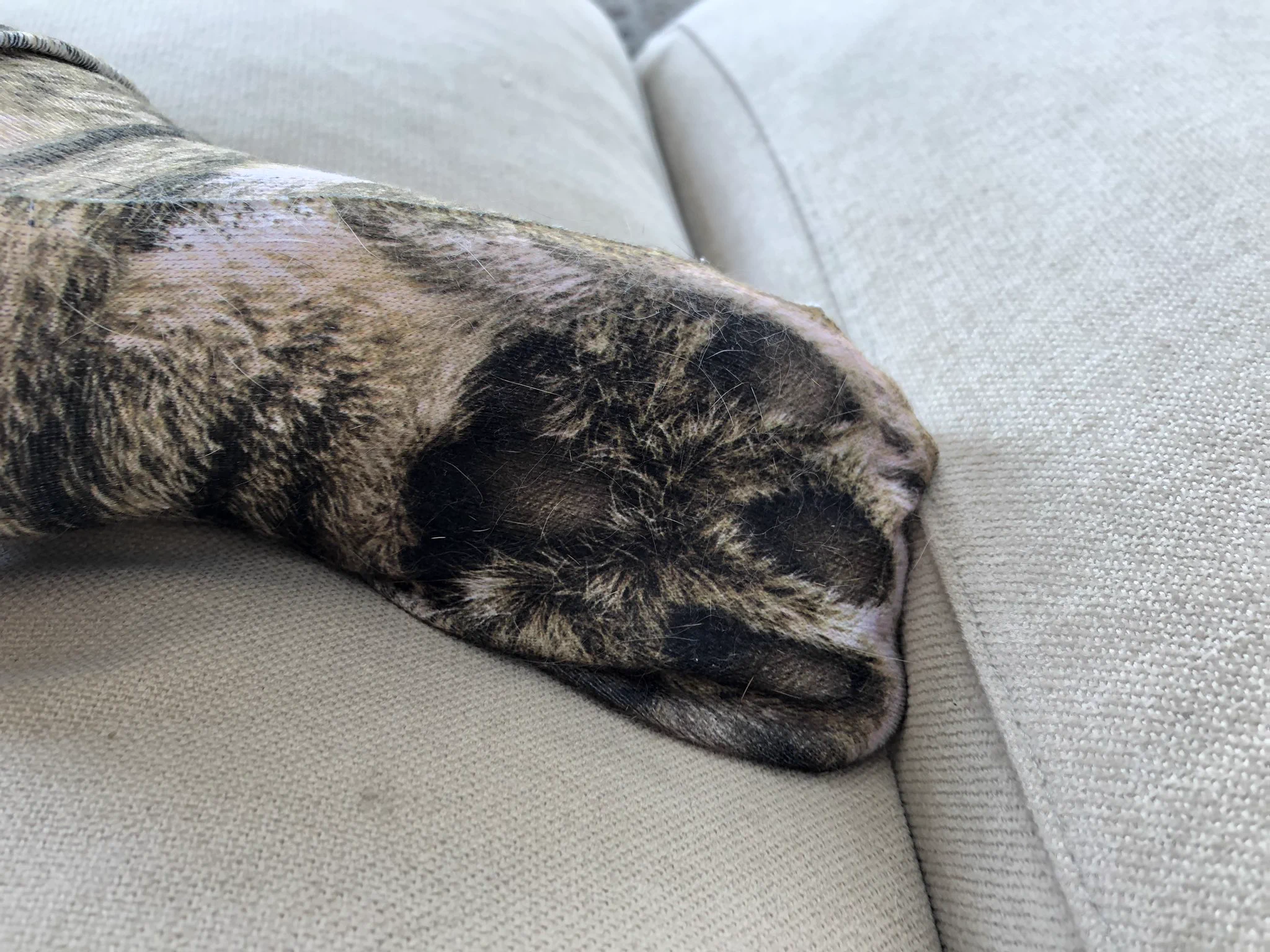 猫の靴下が想像以上に猫だったｗｗｗ