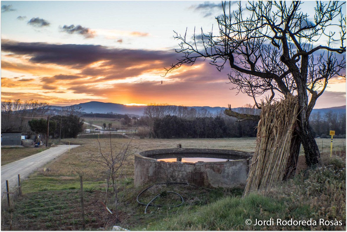 jordirodoreda3's tweet photo. Matí 5 de febrer, Vallès Or. https://t.co/Yx5AwiUicl