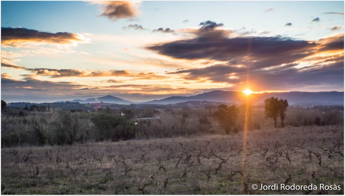 jordirodoreda3's tweet photo. Matí 5 de febrer, Vallès Or. https://t.co/Yx5AwiUicl