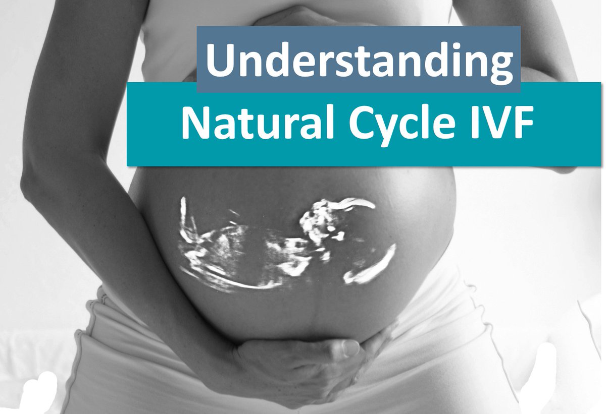 IVFConsultant's tweet photo. Pros and cons of Natural Cycle IVF Treatment
#Infertile #fertility #ttc #fertilityconsultant #naturalcycleivf #pregnancy
https://t.co/CmsSNG4tNr https://t.co/WEkHiuwlqQ