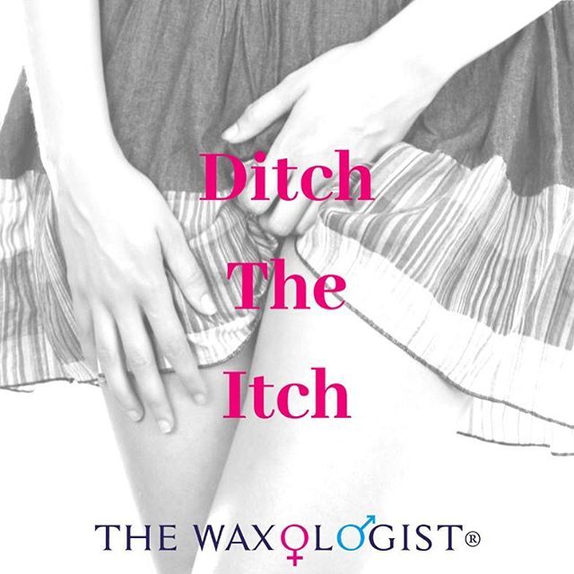 TheWaxologist's tweet photo. There Never is a Good time to Scratch Your Knicker Line! 😉. When your shaved bikini line starts to grow through and you get the Dreaded ‘Crotch Itch’ 🌵😏 We would love to introduce you to Waxing, whether it’s a #BasicBikini or A #hollywoodwax we are T… https://t.co/9Q7r8u9udo https://t.co/PzAbW8FWPu