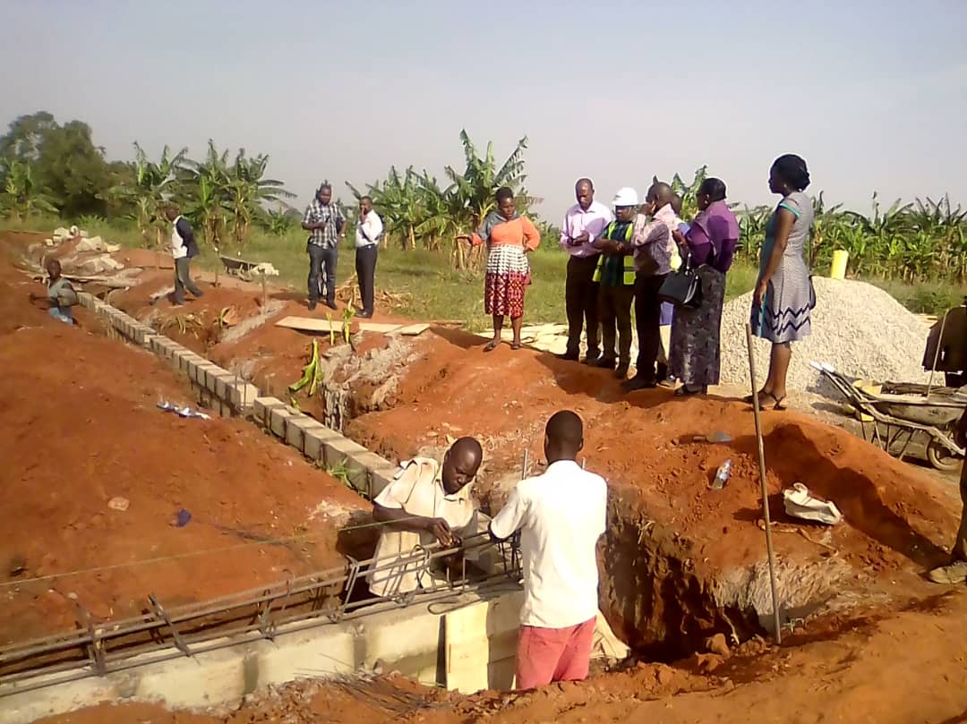 Lucas_Muzungu_'s tweet photo. 2 weeks in and progressing. #Ssemu #FoodSecurity https://t.co/Cck7iuComj