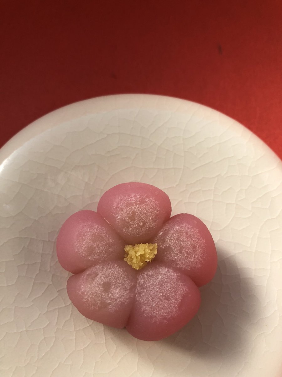 鶴屋吉信 公式 على تويتر 紅梅殿 菅原道真の故事にある飛梅にちなんだ外郎製白餡の紅梅でございます 2 10頃まで販売予定 一部販売していない店舗がありますのでお近くの店舗にお問い合わせくださいませ 鶴屋吉信 紅梅殿 こうばいどの 菅原道真 紅梅 飛梅