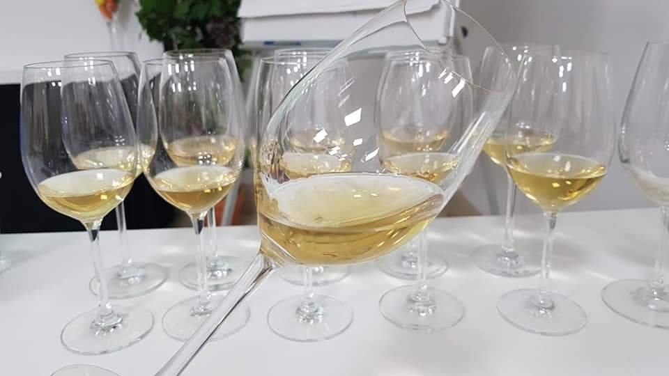 labrujaviri's tweet photo. Cata histórica, 11 Manzanillas de 11 bodegas distintas y diferentes añadas realizada por #AntonioBarbadillo. La ubicación de la bodega donde envejecen influye en los matices de los #vinos. Blog de Bodegas con la Bruja Viri
https://t.co/NEflZamc9f
@JerezXrsSherry @SanlucarTurismo https://t.co/UtsvPldoVe
