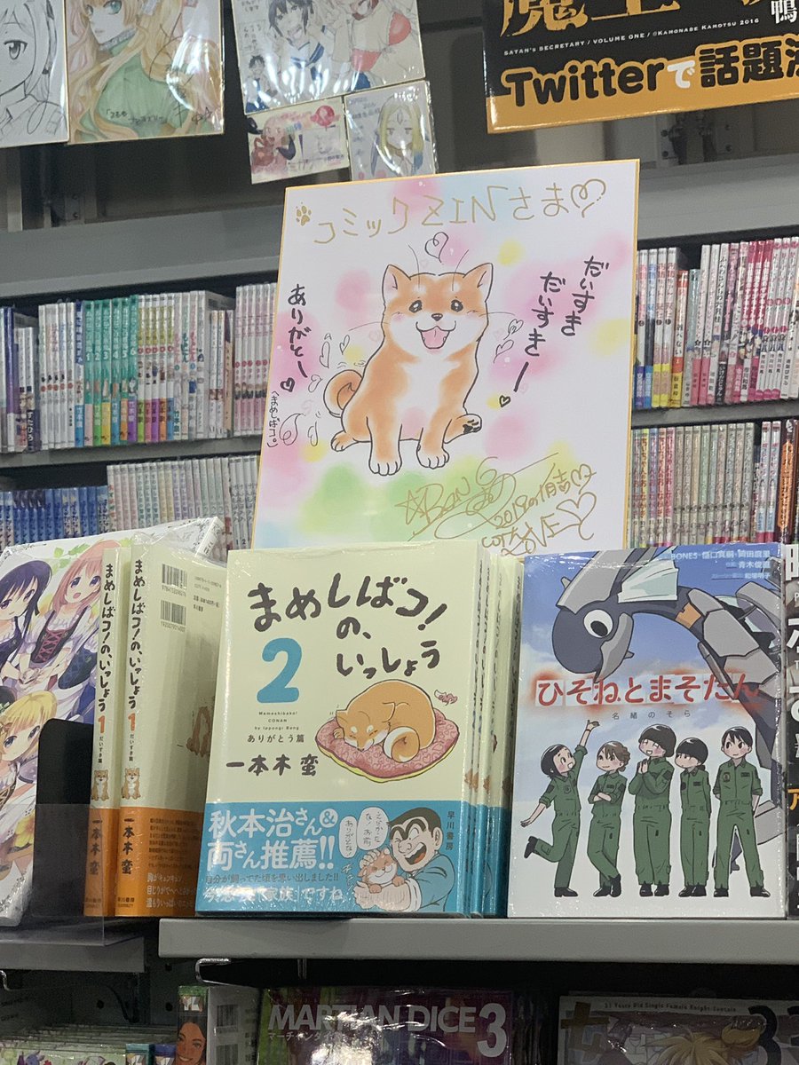 ponimoe's tweet photo. コミックＺＩＮさん
１巻と同じ場所にまめしばこ２巻発見！
購入シークエンスに入る！
＃まめしばコのいっしょう
＃まめしばコのいっしょう２巻 https://t.co/W4TaW2C9DF