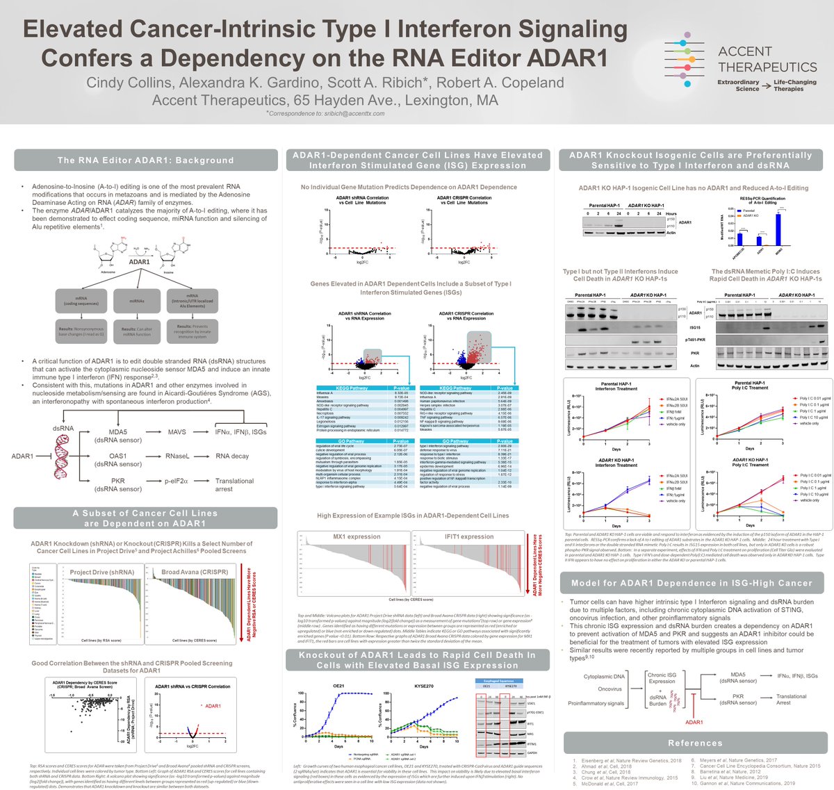 A-to-I editing, one of the most prevalent #RNA modifications, is mediated by ADAR enzymes. We are working to inhibit #ADAR1 to induce cell death in tumors w/ elevated Type I interferon signaling &amp; to mediate resistance to checkpoint inhibitors #CancerResearch #epitranscriptomics