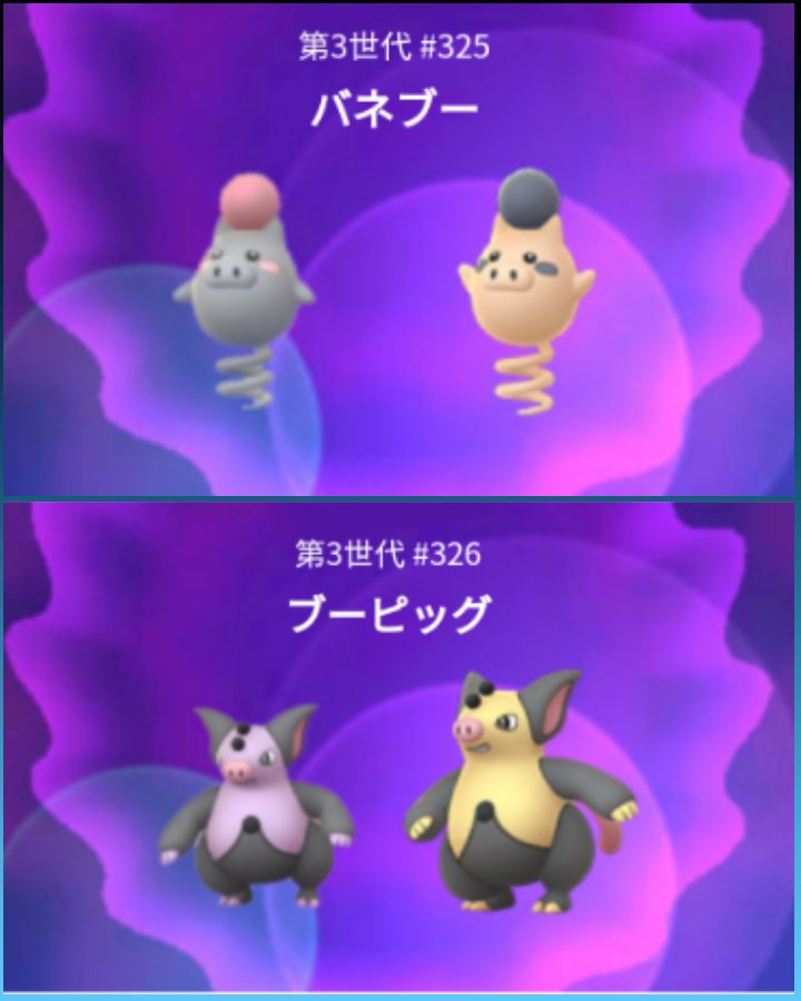 ポケカツ っ W בטוויטר 目の下 クマがみたい 色違いは寝不足バネブー 今夜は寝かさないぜ ー ゝ今夜ハネカサナイゼ Pokemongo ポケモンgo ポケットモンスター バネブー ブーピッグ 色違い