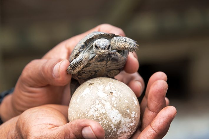 British Ecological Society (@britishecolsoc) on Twitter photo Interested in a career in conservation science? Join us and <a href="/ZSLScience/">ZSL Science</a> for a one day workshop to hear about the career paths of researchers who work both in and outside of academia #careers #ECR #PhDchat ow.ly/SQnB30nvRZB Interested in a career in conservation science? Join us and <a href="/ZSLScience/">ZSL Science</a> for a one day workshop to hear about the career paths of researchers who work both in and outside of academia #careers #ECR #PhDchat ow.ly/SQnB30nvRZB