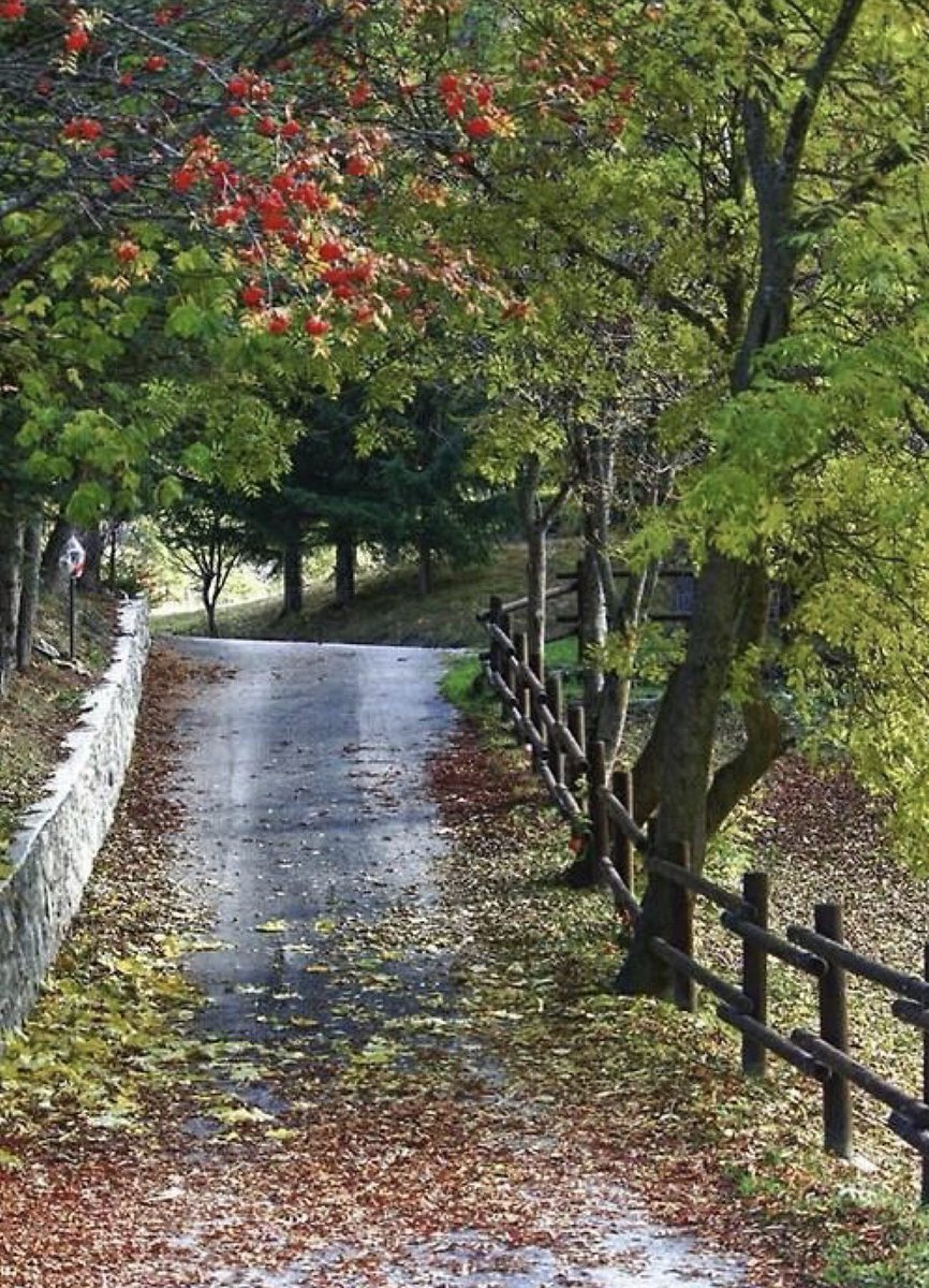 LuBrayner's tweet photo. Provérbios 6.23 - Porque o mandamento é lâmpada, e a lei é luz; e as repreensões da correção são o caminho da vida. https://t.co/fRhVzQpKx8