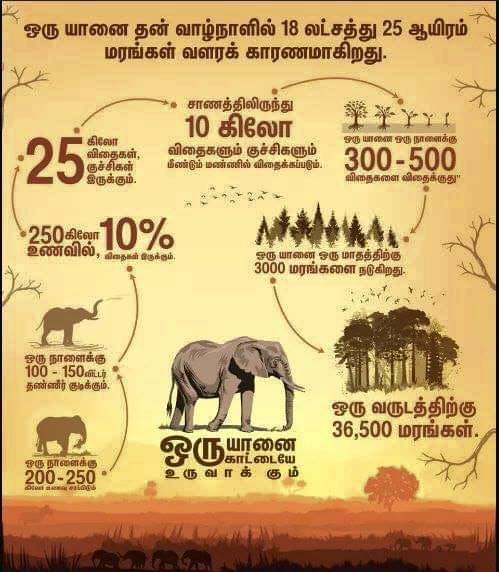 RajSathiyan's tweet photo. https://t.co/N7NgahcxvA