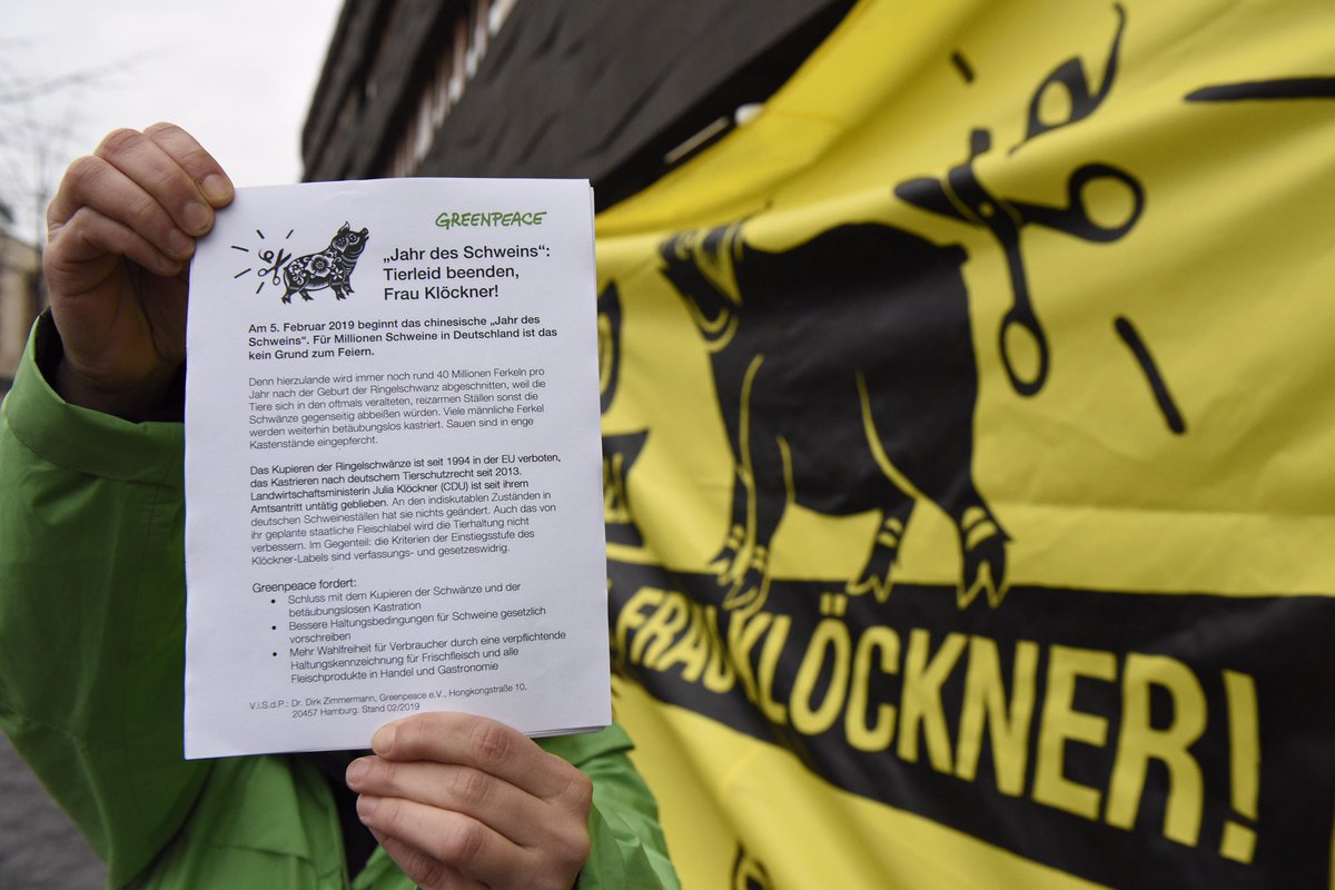 Greenpeace e.V. (@greenpeace_de) on Twitter photo Weil Schweine in reizarmen Ställen zu Verhaltensstörungen wie Schwänze-Abbeißen neigen,werden ihnen die Ringelschwänze abgeschnitten. Autsch. Wie wäre es,stattdessen bessere Haltungsbedingungen vorzuschreiben <a href="/JuliaKloeckner/">Julia Klöckner</a>? Tierleid beenden! act.gp/ferkelleid_tw #issgutjetzt Weil Schweine in reizarmen Ställen zu Verhaltensstörungen wie Schwänze-Abbeißen neigen,werden ihnen die Ringelschwänze abgeschnitten. Autsch. Wie wäre es,stattdessen bessere Haltungsbedingungen vorzuschreiben <a href="/JuliaKloeckner/">Julia Klöckner</a>? Tierleid beenden! act.gp/ferkelleid_tw #issgutjetzt
