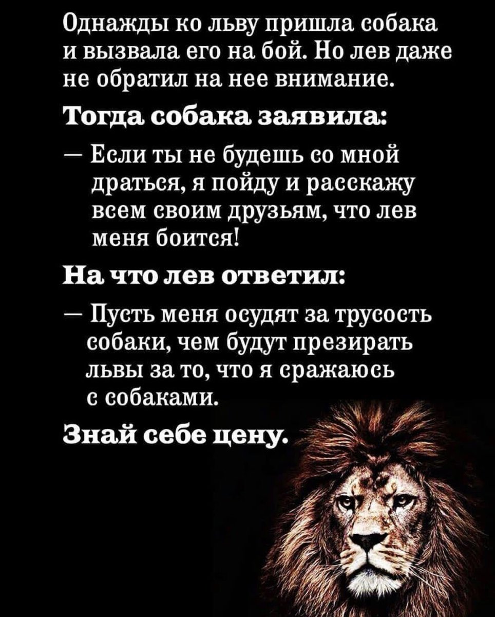 sult1970 tweet picture