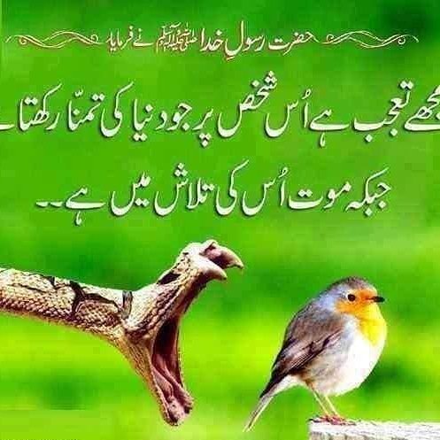 1318MUZAFAR's tweet photo. https://t.co/stFEbdBGpx