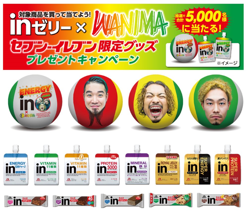 純国産/日本製 WANIMA バランスボール - タレントグッズ