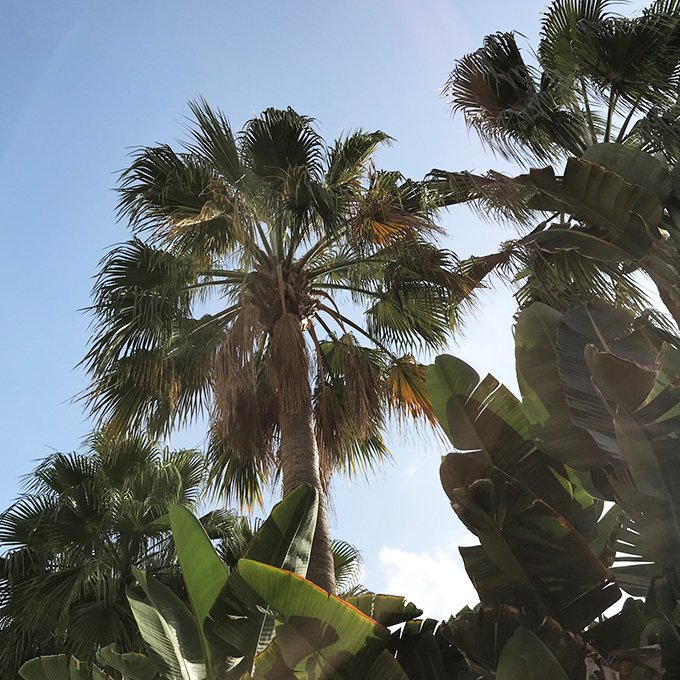 Counting down days for warm weather and openings

#Ibiza #summer2019 #Ibizaopenings