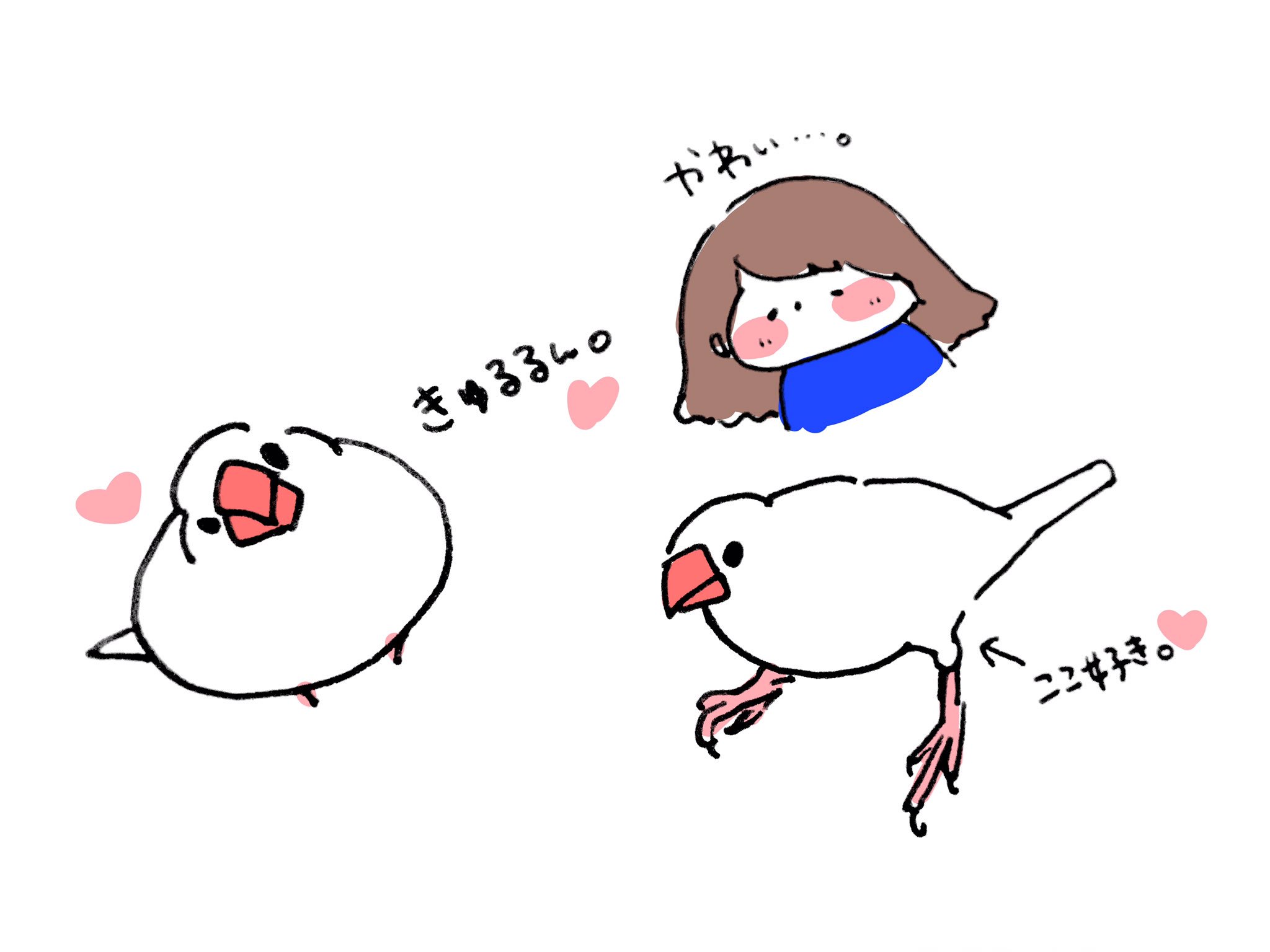 きなこ Withおもち ちょっとした自己紹介です 文鳥のおもち がいます 18年4月生まれ 文鳥のことで語り合える 文鳥仲間がいっぱい欲しいです ゚ 初心者で分からないことだらけで不安なこと多いです 気軽に話しかけ きなこ Withおもち ちょっとした自己紹介です 文鳥のおもち がいます 18年4月生まれ 文鳥のことで語り合える 文鳥仲間がいっぱい欲しいです ゚ 初心者で分からないことだらけで不安なこと多いです 気軽に話しかけ