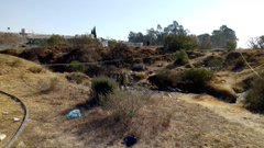 Ver imagen en Twitter