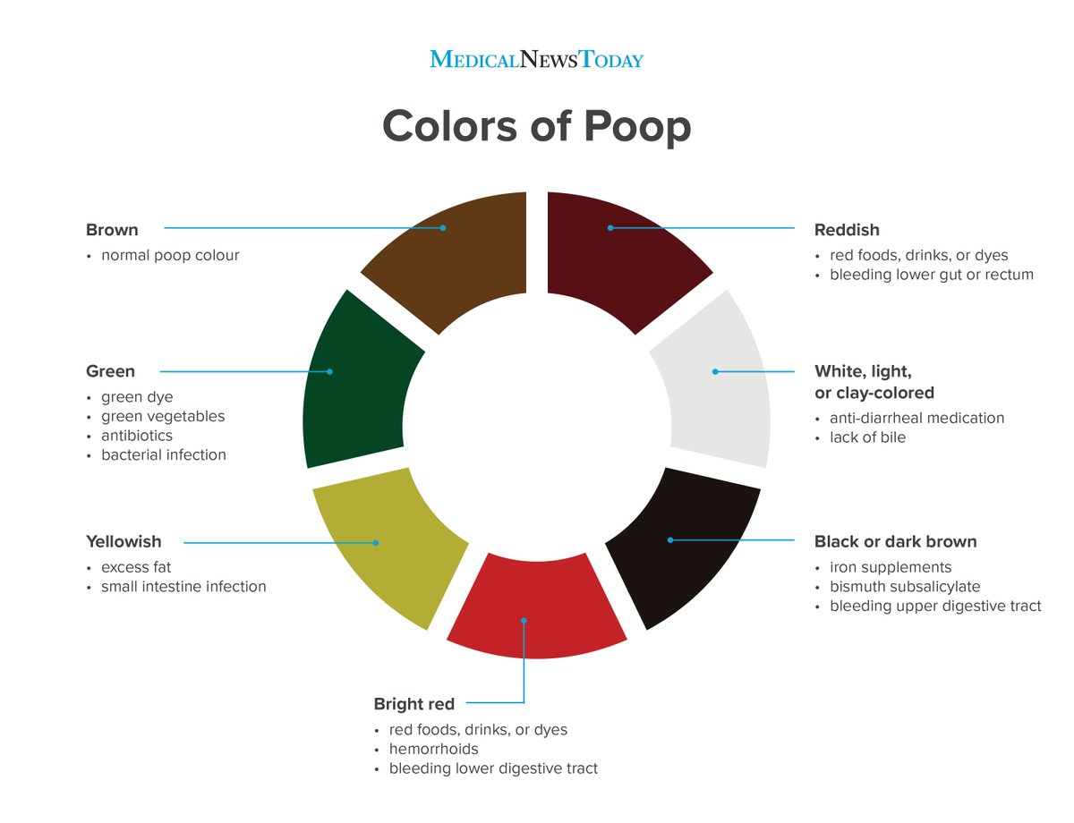 What Does The Color Of Poop Mean The Meaning Of Color