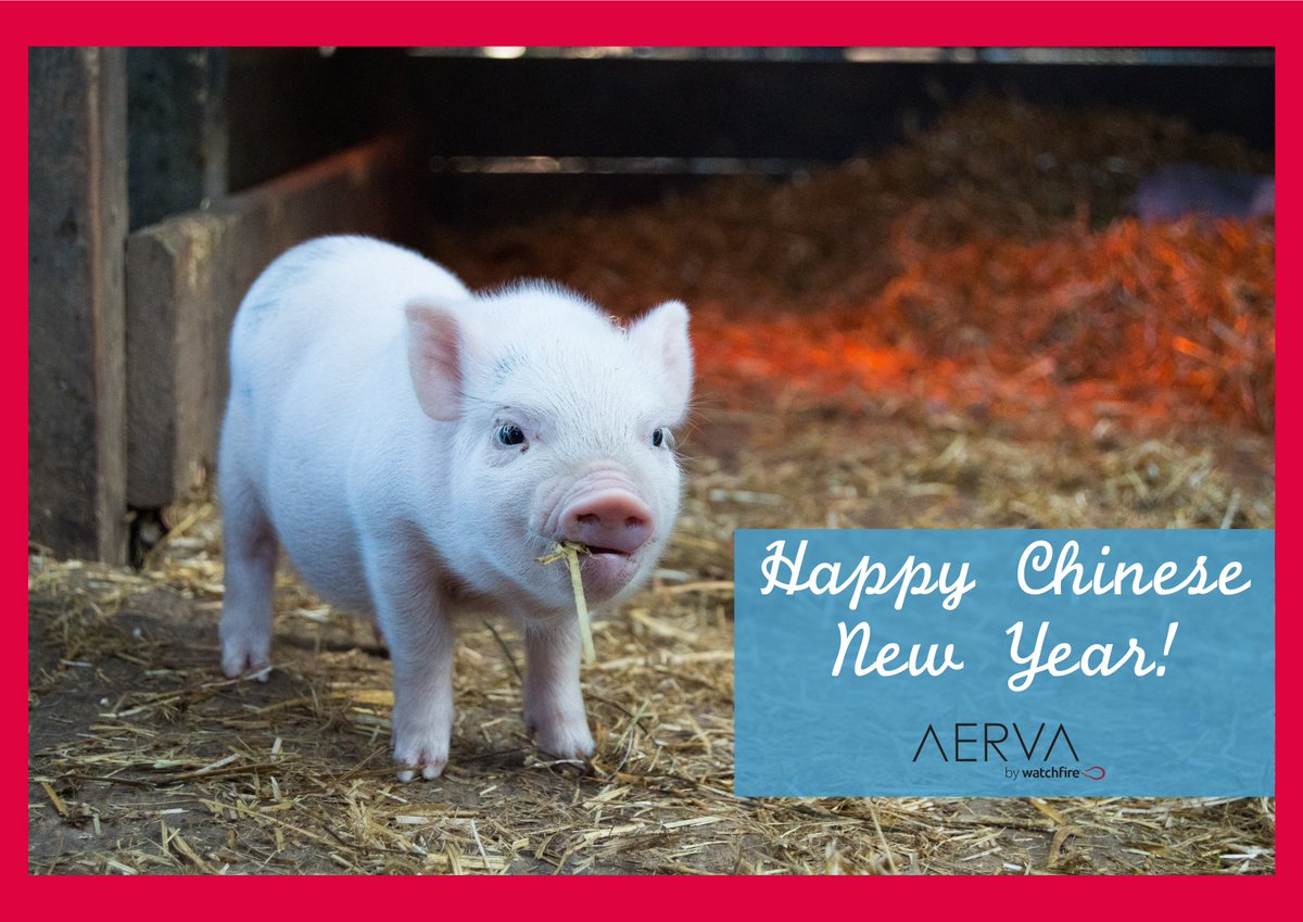 Aerva's tweet image. Best Wishes from Aerva for the year of the Pig 2019. The year of the Pig is a great year to make money and invest because the Pig attracts success in all spheres of life.  So we at Aerva hope you have a happy and prosperous year.