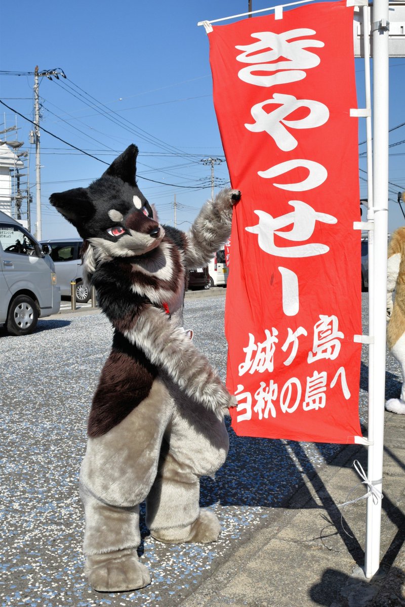 ティンバー Ff14 Titanで奮闘中 城ヶ島ケモノ大行進 ティムが水仙祭を盛り上げちゃうぜ