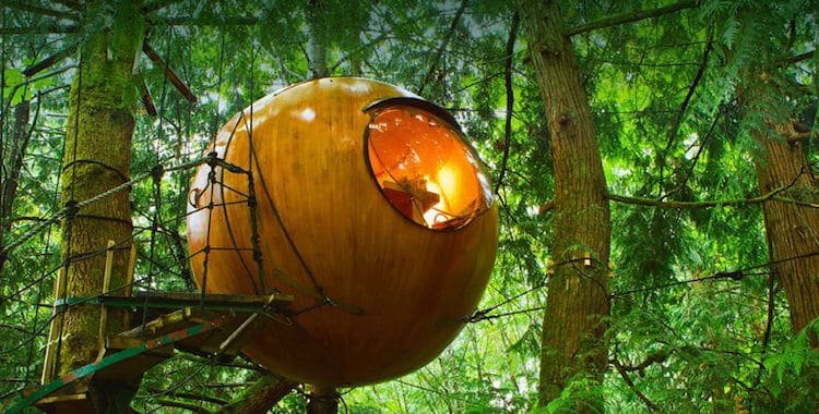 mymodernmet.com/round-treehous…

Ever dream of sleeping in a treehouse? Free Spirit Spheres, with their innovative, round treehouse cabins, may be just what you are looking for.