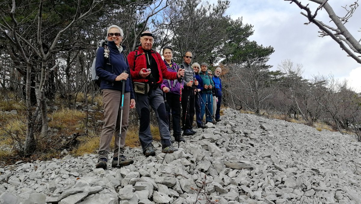 SAGTriesteCAI's tweet photo. Inaugurato l'anno #escursionistico 2019 della Commissione #Escursioni con un bel giro della #ValRosandra, #carso triestino. #sole, #torrente in piena e #sorrisi per tutti!
Tutte le foto https://t.co/WPf5o46lDL
#caiSAG #trieste #fvg #escursionismo @CAI150 @caifvg https://t.co/jAGfcYDKCw