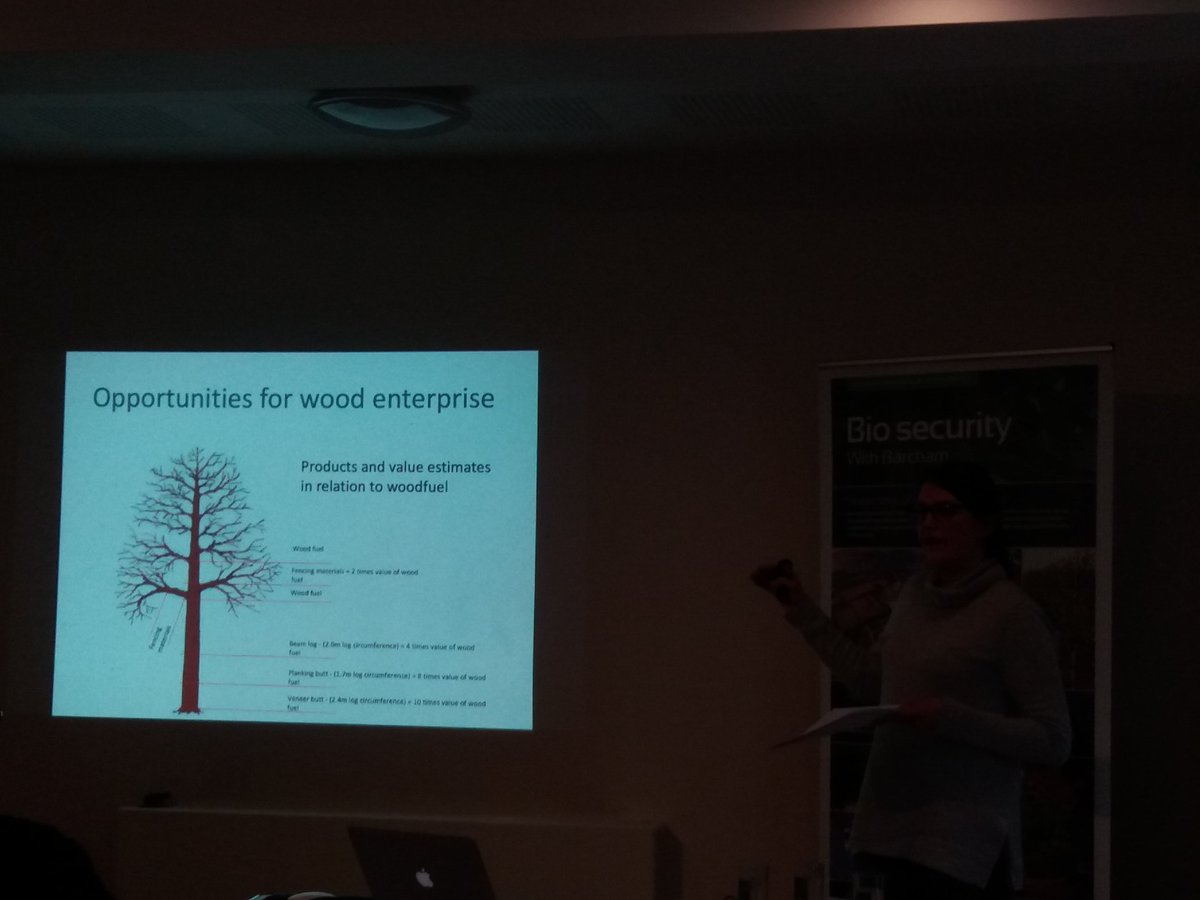LTOA33's tweet photo. Amy Hammond from @LanternLatest discussing the underused resource and potential of wood enterprise in London, both woodland and street trees alike. #londonwoodenterprise https://t.co/KT5x92a9gv