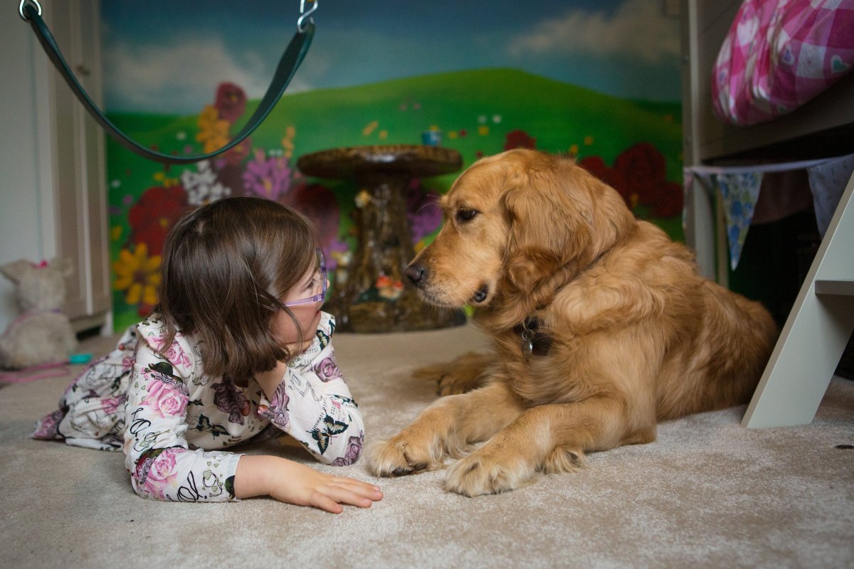 DogsForGoodUK's tweet photo. Delighted that Milli &amp; her assistance dog Emma are @Crufts #friendsforlife finalists! Emma &amp; Milli made it through as the judges’ favourite for the hotly-contested ‘Hero Assistance Dog’ category - watch their film to see why &amp; please vote: https://t.co/Rk6j8GPmym #dogsaregood https://t.co/SMv1ejZ3By