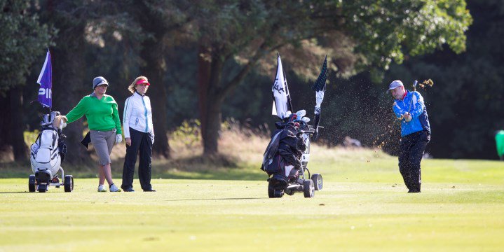 ScottishGolf's tweet photo. #HandicapWeek is back for 2019! Keep an eye out on our channels throughout the week for: 

📊 Top 2018-19 Handicap stats 

📋 Support for clubs on new World Handicap System coming in 2020

🎁 Exclusive @PINGTourEurope giveaway 

Read more here: https://t.co/1aynNM12xD https://t.co/cwBbOHyY1W