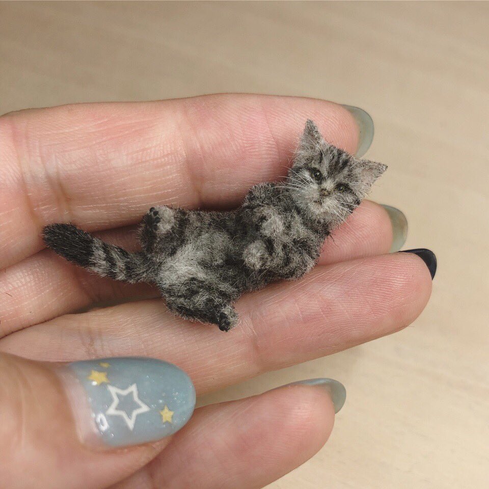 Мини коты