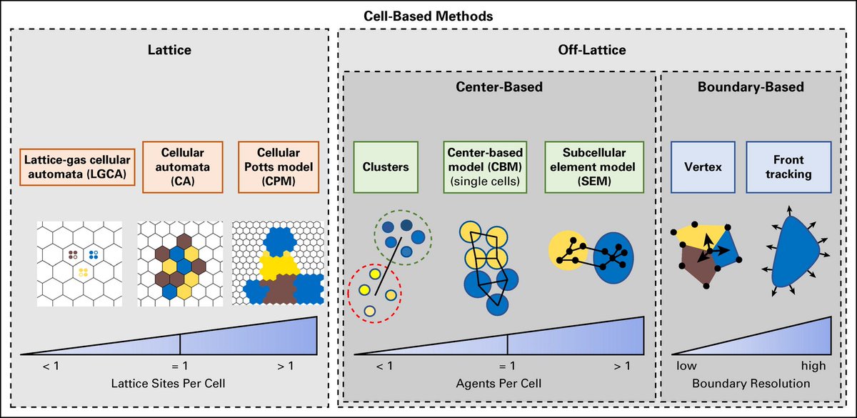 MathCancer's tweet image. Happy to share our new invited review on cell-based modeling in cancer, in @ASCO&apos;s JCO Clinical Cancer Informatics. We include curated collections at @Science_Open, making it a living review. Nicely done, @jmetzcar, @YafeiWang89, and @rheiland! 

ascopubs.org/doi/full/10.12…