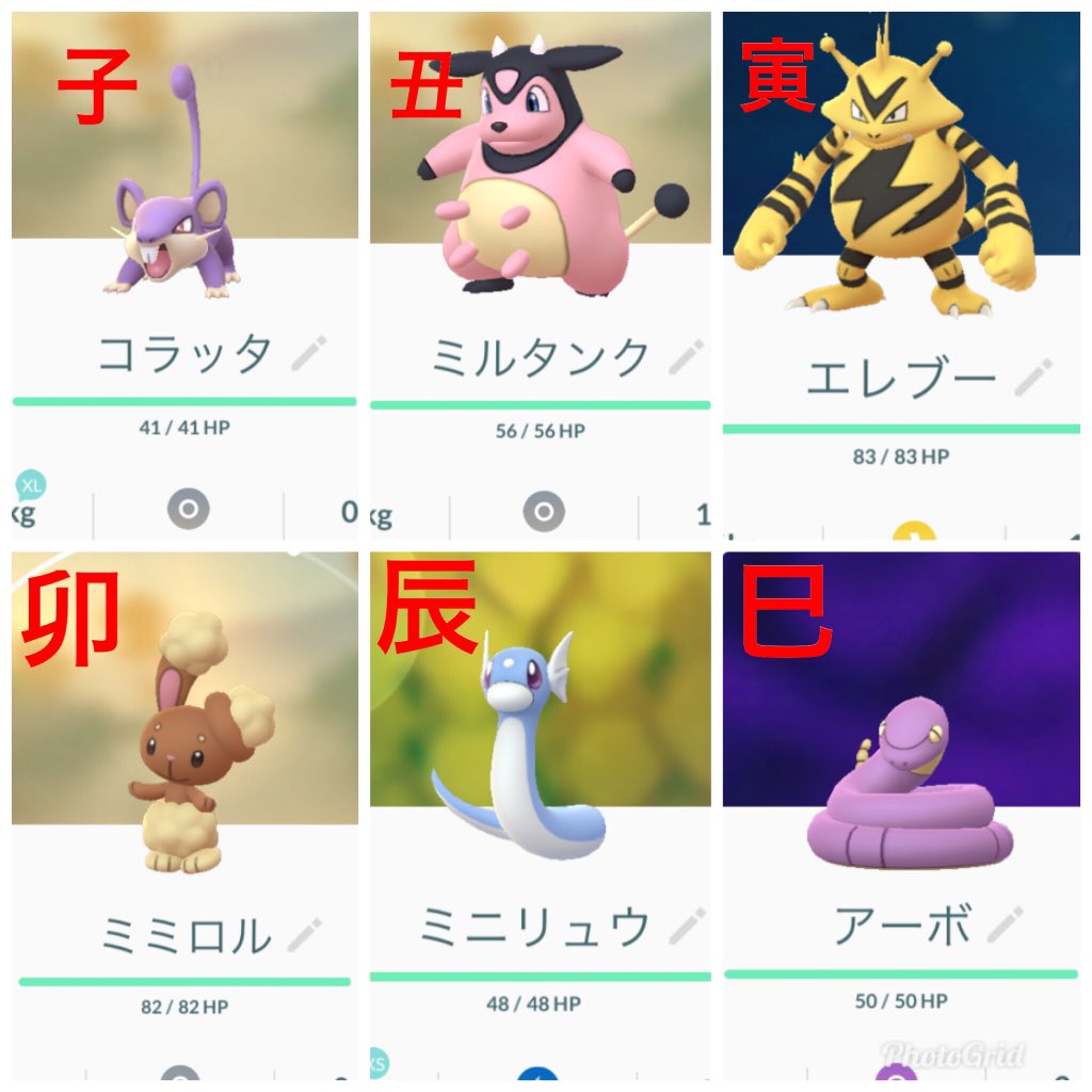 トラ ポケモン 最高のイラストと図面