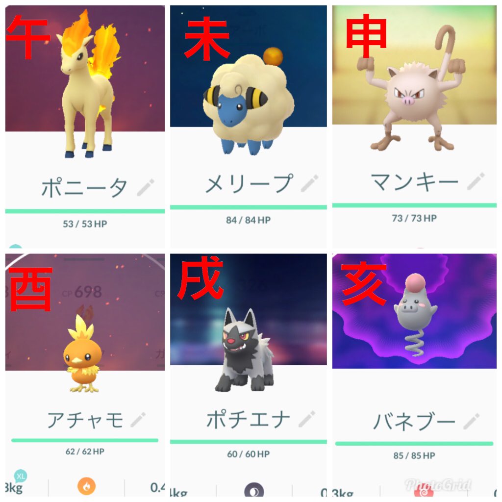 ポケカツ っ W 在 Twitter 上 Nyaon 新ポケモンにトラが混ざっているのかな 来年もエレブーの出番がありそう 笑 Twitter