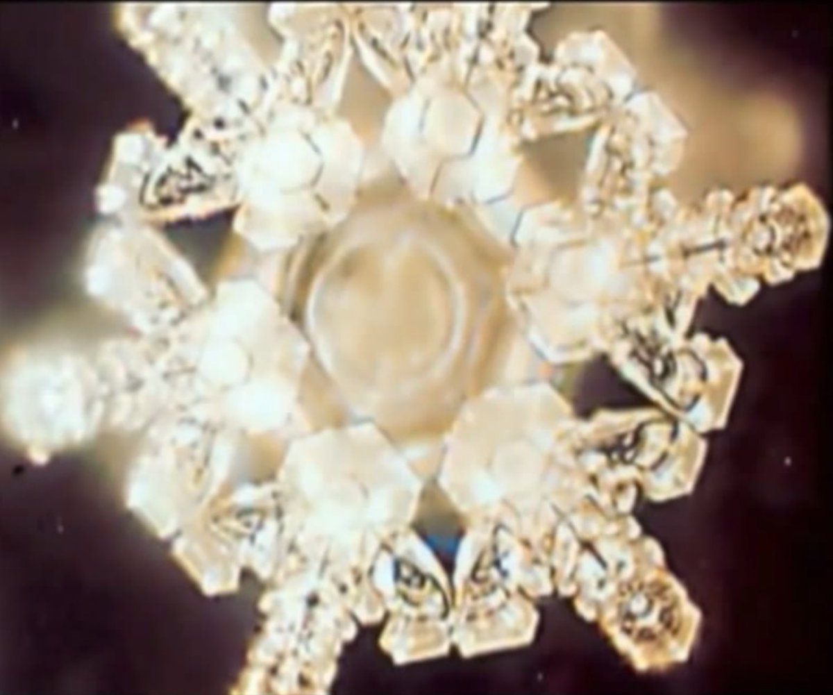 AguaMunda's tweet photo. Dr Masaru Emoto Water Experiments Show Water Reacts To Conscious Frequencies https://t.co/a82BTq8fba #waterislife #cleanwaterfortheworld https://t.co/ygSDjJVQ3l