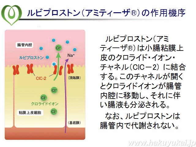 Twitter 上的 𝑴𝒓 薬剤師 国家試験 正答 4 1 慢性型の便秘に使用される 2 Clc 2クロライドイオンチャネルを活性化することで 腸管内への水分分泌を促進する 3 ルビプロストンは他の瀉下薬の様な耐性 依存性 血中電解質異常を示さない 治療中止に