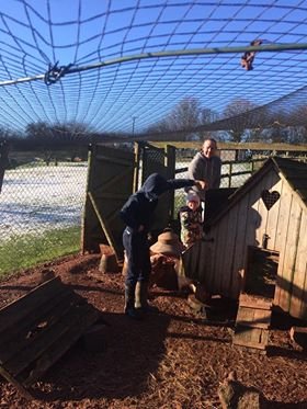 Compton Pool Farm tweet media
