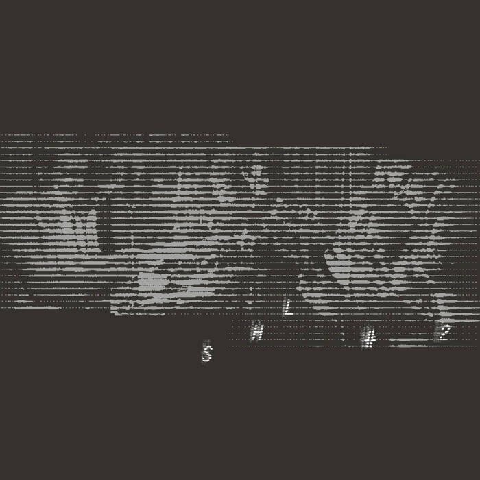 New Album available now! SHL #2 svarchanleylonghawn.com/2019/02/05/new…