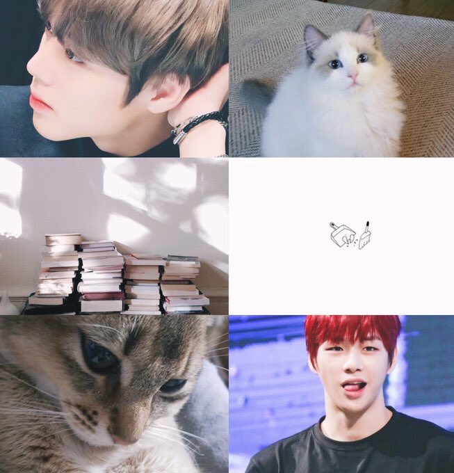 projectbeforeDH's tweet image. 🌹 before valentine project

I - 𝙏𝙝𝙚 𝙎𝙩𝙤𝙧𝙮 𝙄 𝙇𝙚𝙛𝙩 𝙃𝙖𝙣𝙜𝙞𝙣𝙜, ...
by @ami_ime 

&quot;พี่จริง แล้วถ้าผมไม่ได้อยากเป็นแค่น้องอะ พี่จะว่ายังไง?&quot;

link : bit.ly/2UJ4coO

#แดนฮุน #1302DH